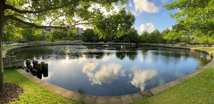 body of water near green trees during daytime